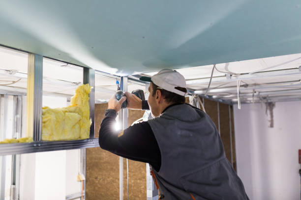 Best Insulation Maintenance and Repair in Deerfield, IL